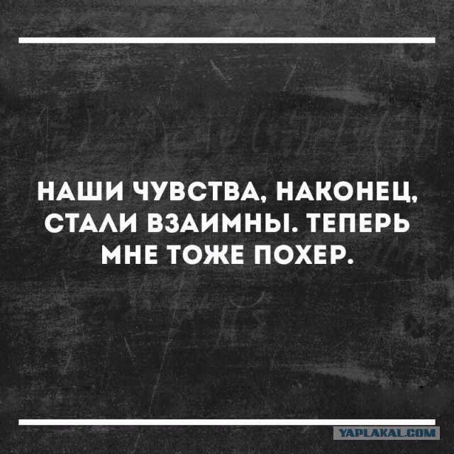 Немного деграданса - 6