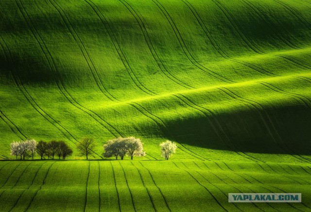 Фото дня