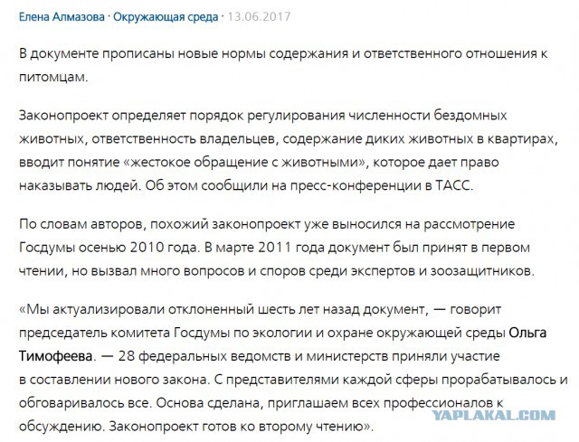 Суд выносит приговор хабаровским живодеркам