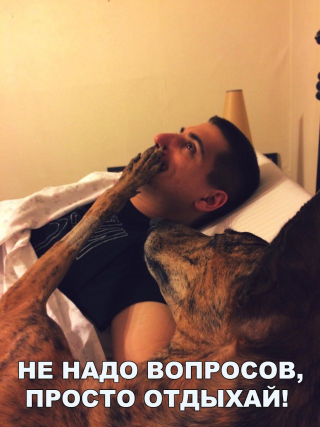 100 картинок для поднятия настроения!