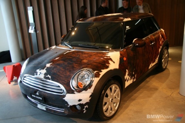 Mini Cooper The Pet