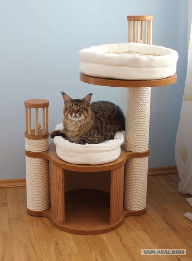 Кошкин дом
