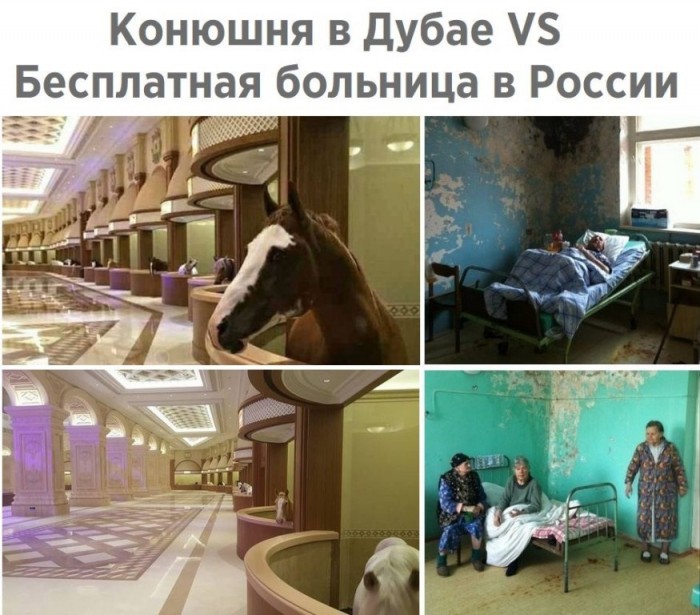 Испанец прокомментировал ситуацию с чиновницей и больницей в Струнино