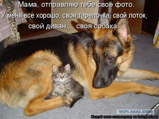 Как стать друзьями