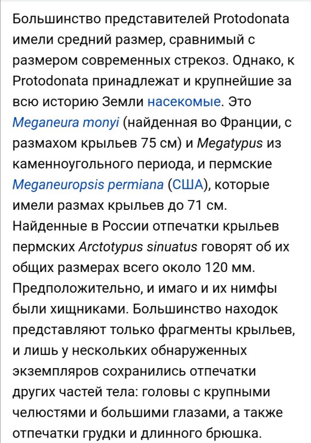 Чем питалась меганевра? Изучаем меню гигантского насекомого древности