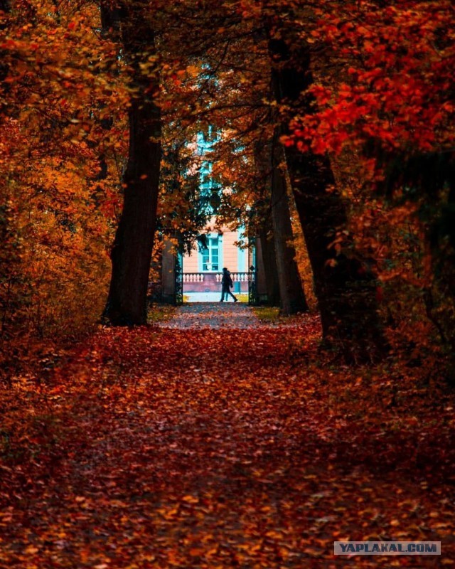 20 фотографий, где цвет играет главную роль