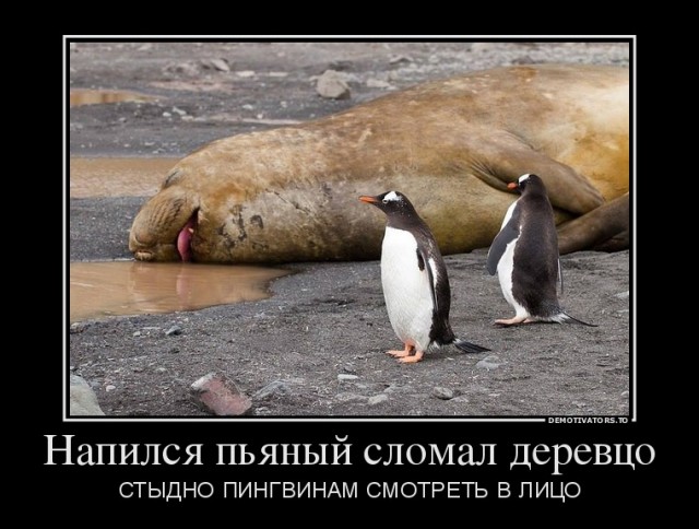 Сегодня пятница, а это значит...