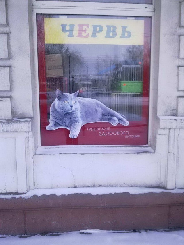 Чуток картинок на 30.04.2020