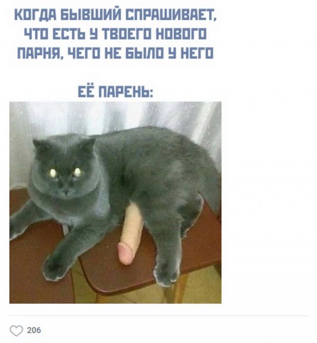 Ещё немного слегка пошлых картинок с надписями 16+ (23.06)