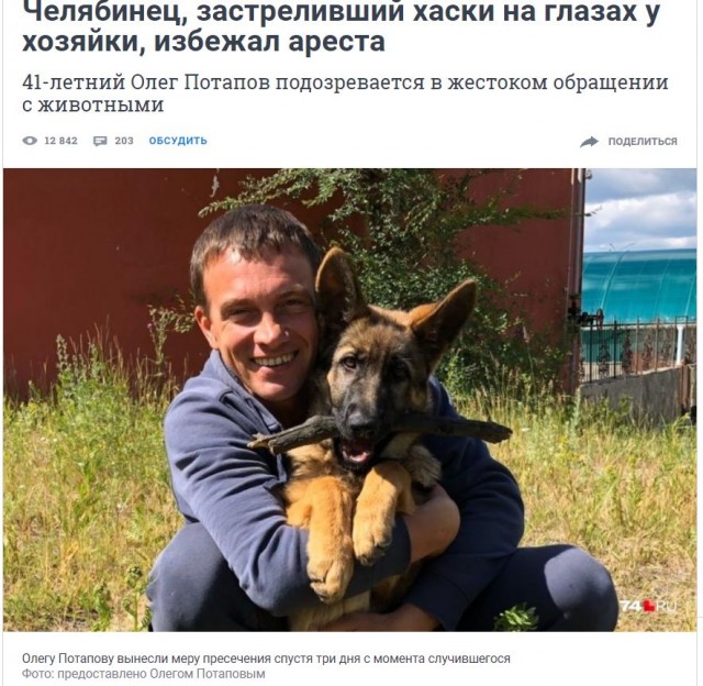«За пять минут 50 гусей перегрызла»: челябинский охотник, застреливший хаски, рассказал свою версию