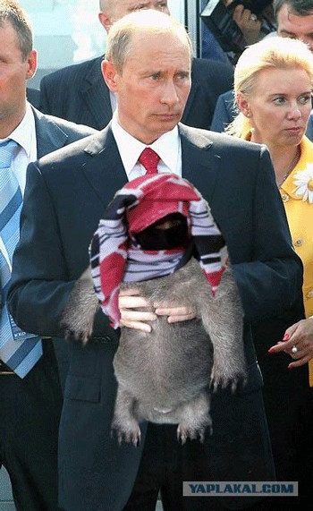 Фотожаба: Путин и зверь
