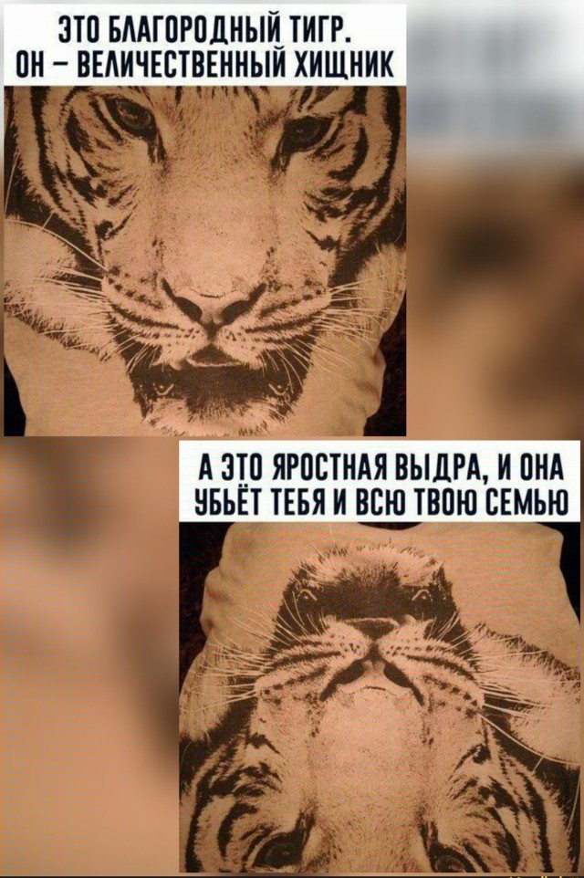 ″Вафли″ к чаю
