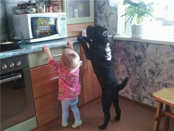 Новые решения в условиях кризиса