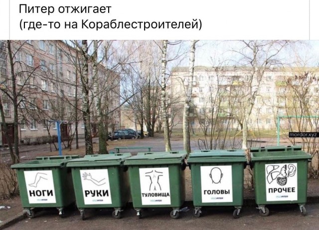 Петербургские казаки готовы контролировать масочный режим в городе за бюджетные деньги