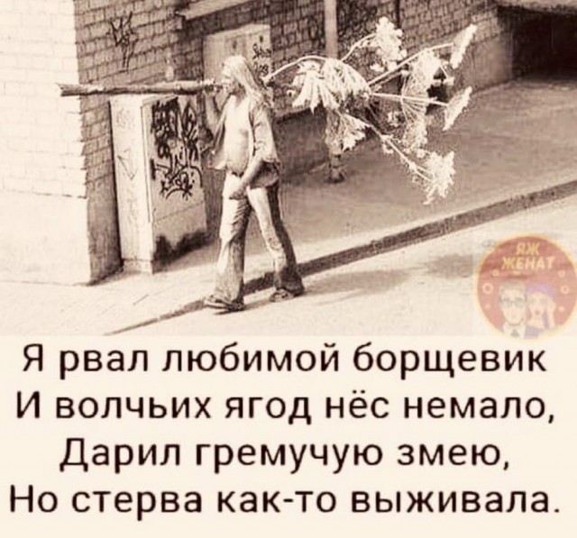 Картинки и мемы для настроения 016
