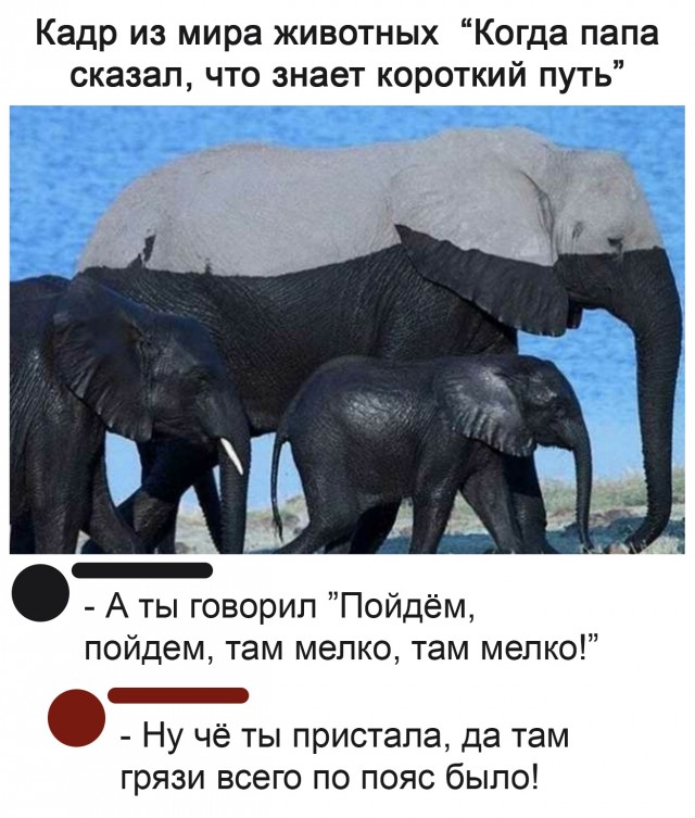 Картинки и мемы для настроения 015