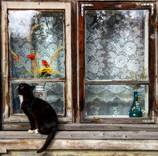 Уличные котаны