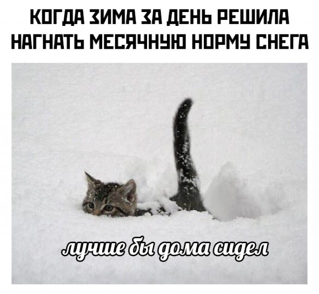 Весёлый полтишок 16.02