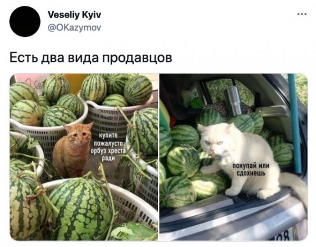 Картинки и мемы для настроения