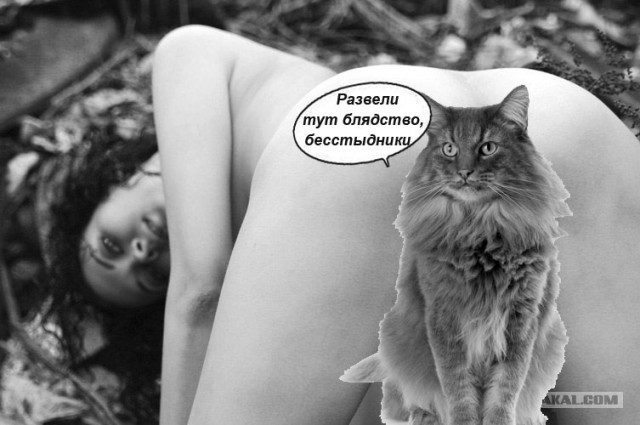 Как я голой снималась. (16+)