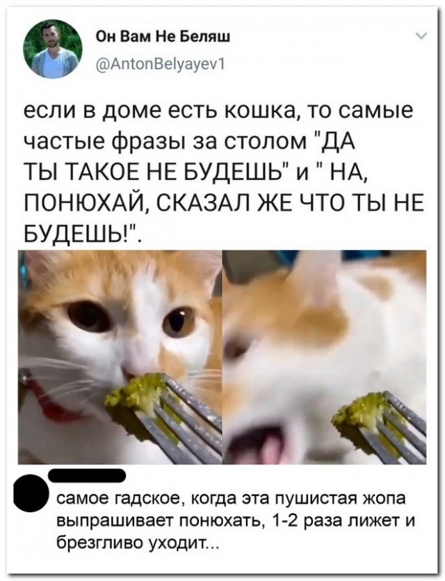 Забавные комментарии из социальных сетей 22.03.21