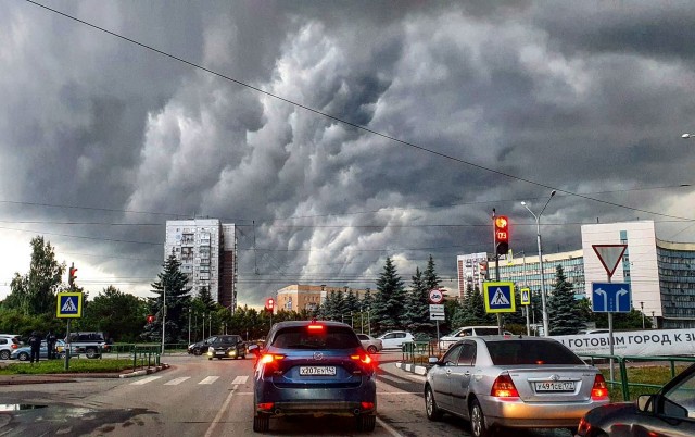 Насохранял