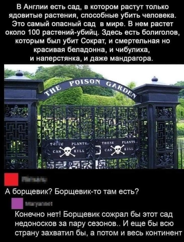 Всяческие картинки 09.06.2021