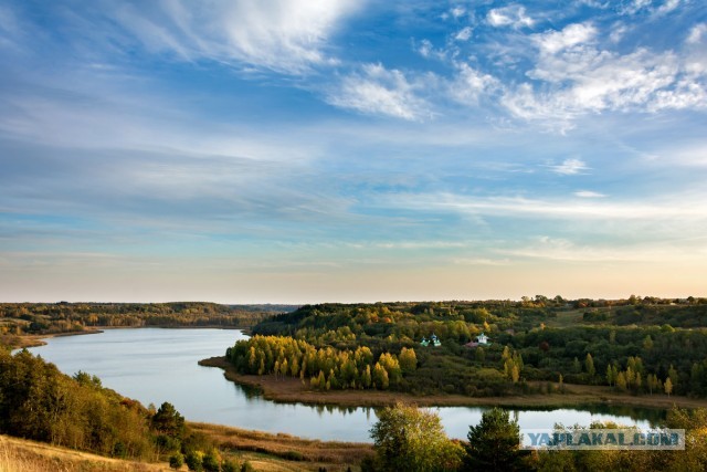 Цена денег