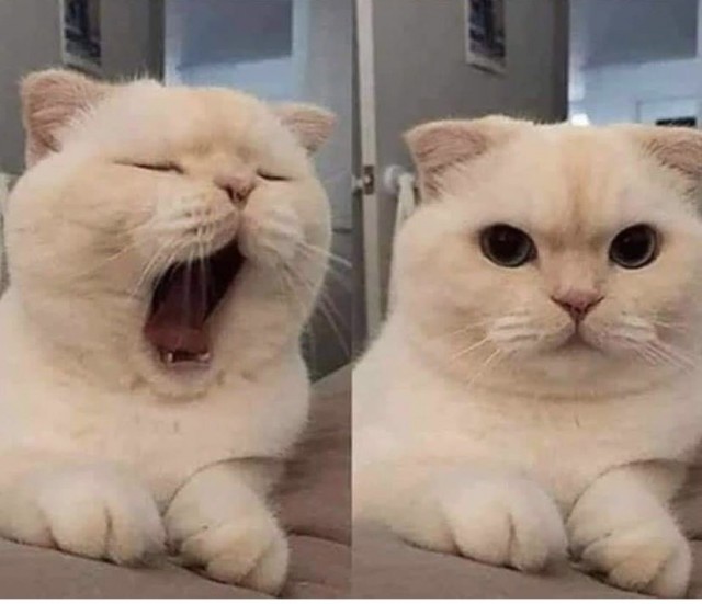 Картинки и мемы для настроения 28.07.2021