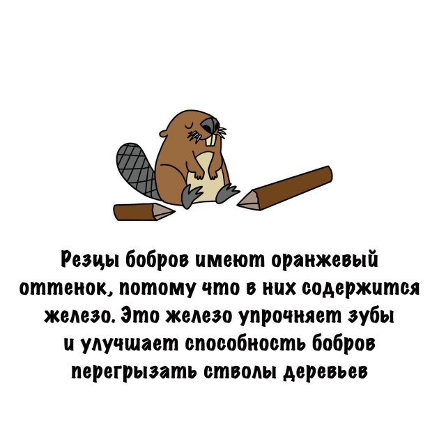Картинки на субботу