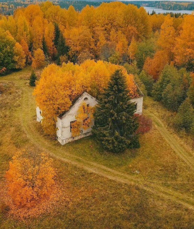 Картинки и мемы для настроения 18.10.2021