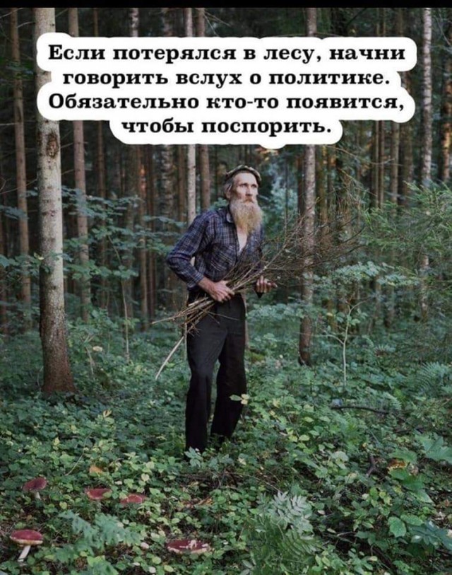 Всяческие картинки 17.11.2021