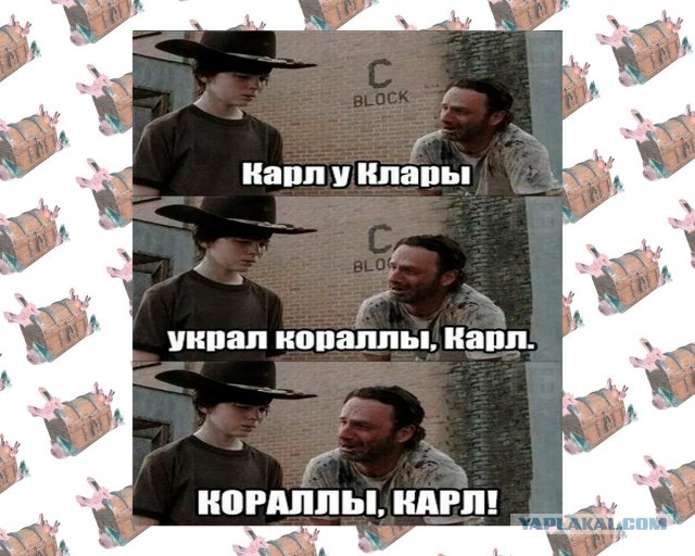 Кораллы из обычного аквариума чуть не убили московскую семью. Оказывается, они просто не любят, когда их тревожат
