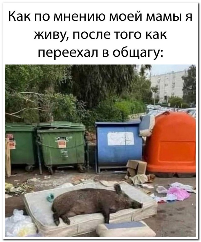 Забавные комментарии из социальных сетей 14.03.22