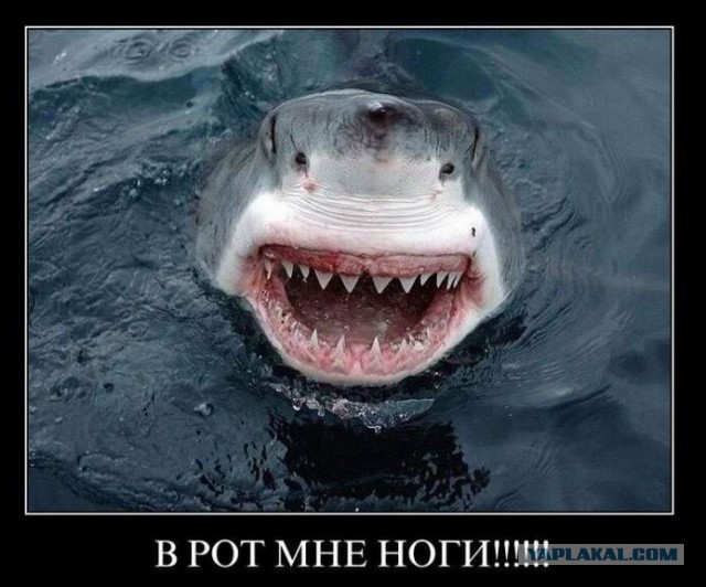 Позитив никто не отменял!