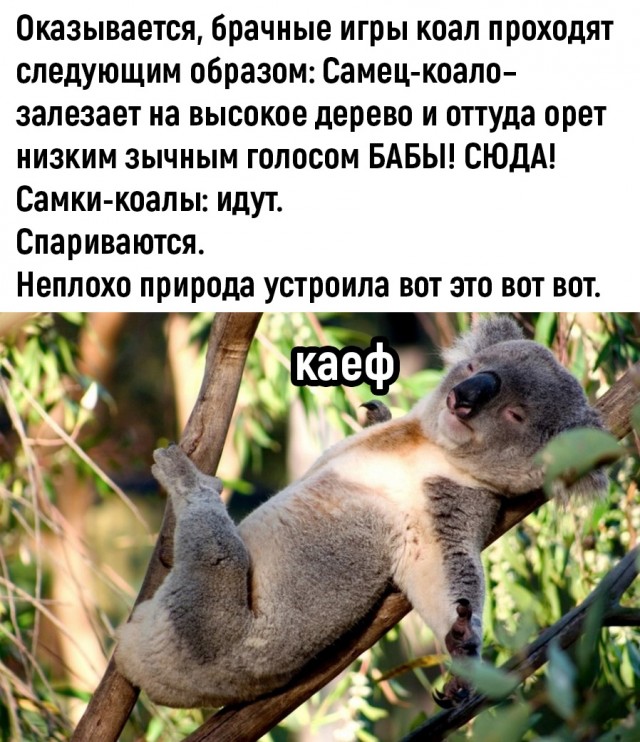 Так себе картинки 10.05.22