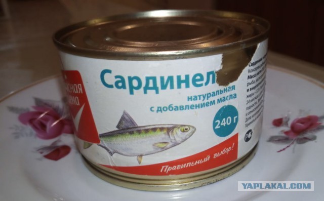 Пандемия. Коронавирус и съехавшие крыши. Россия и мир. Часть 34.