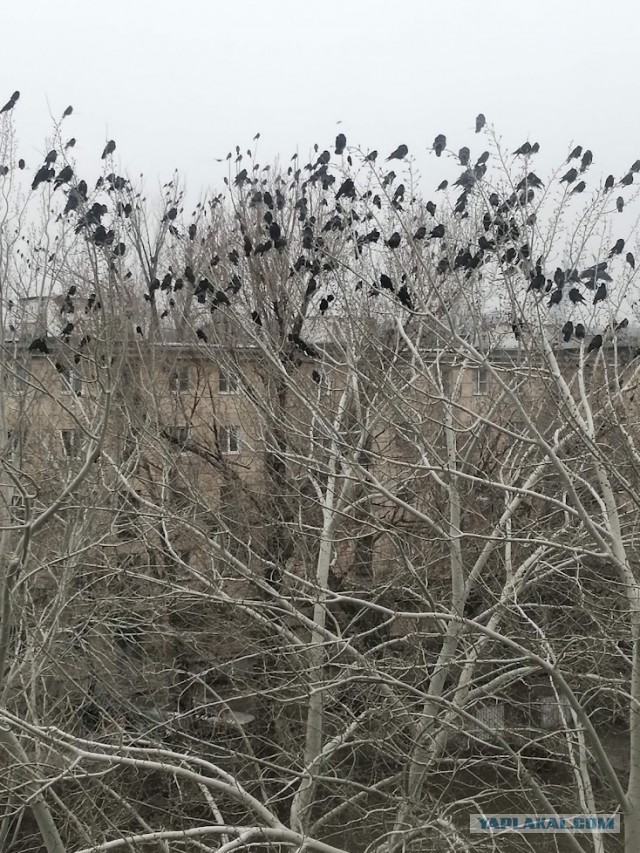 Город-герой Волгоград за 48 часов