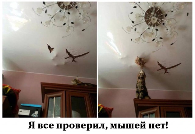 Немного картинок и прочей хреноты Vol. 16