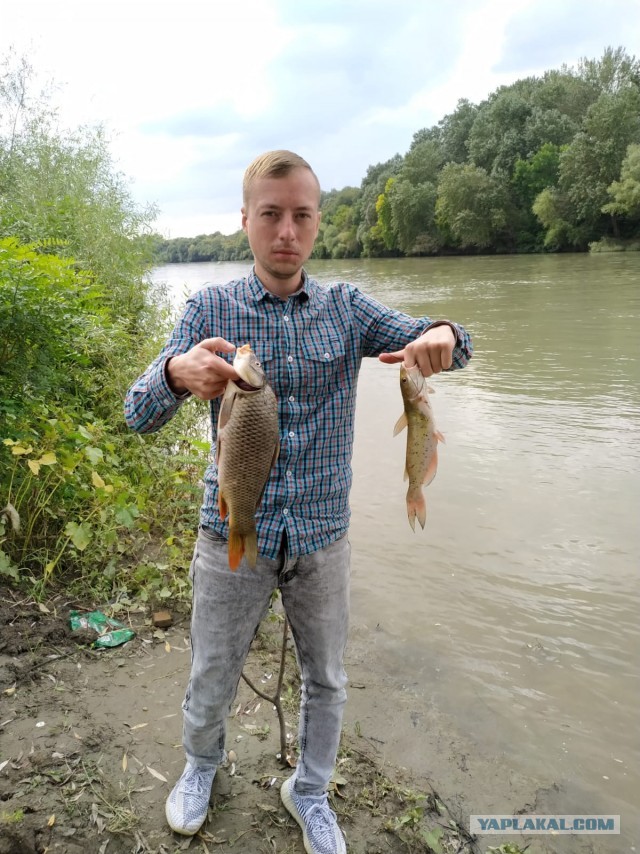 Доброе утро, рыбаки