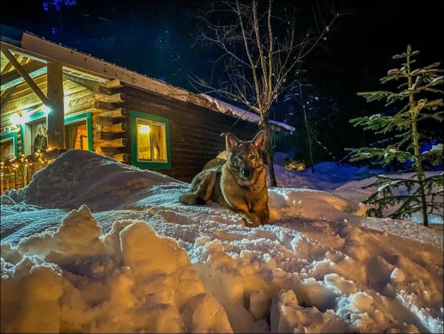 Прикольные и просто красивые картинки 02.12.2022