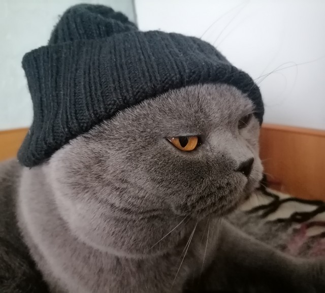 Окей. О лете