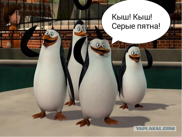 Три вида разведенных женщин с ребенком