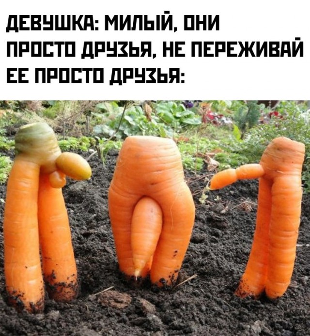 Немного картинок для настроения - 137