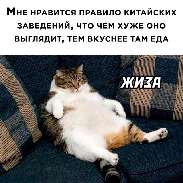 Картинки и мемы, всяко разно - 171