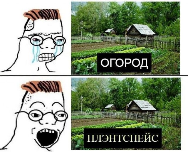 Картинки и мемы, всяко разно - 179