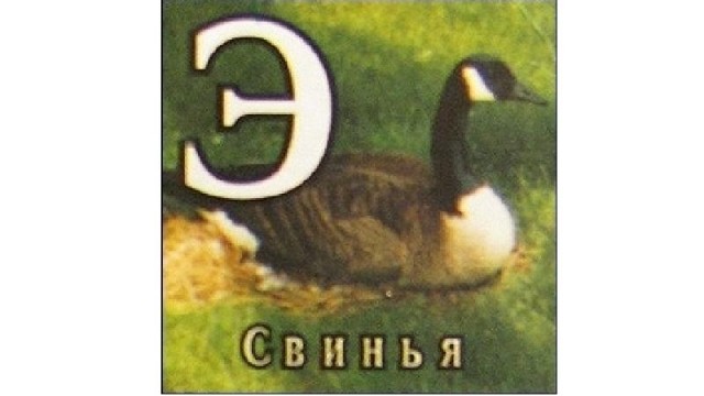 Не пиар, а климатический активизм