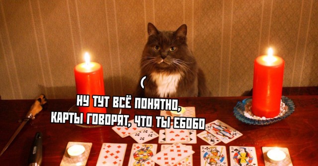 «Разведенные подруги жены» - первая категория опасности для счастливых семей