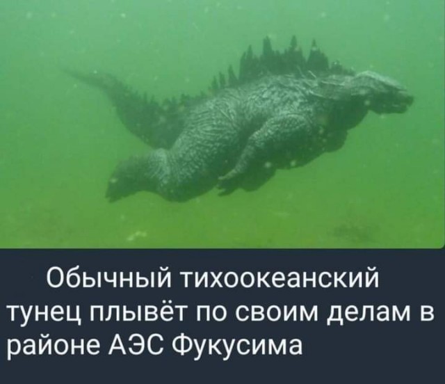 Двойные стандарты