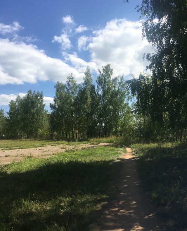 Откуда берутся женоненавистники